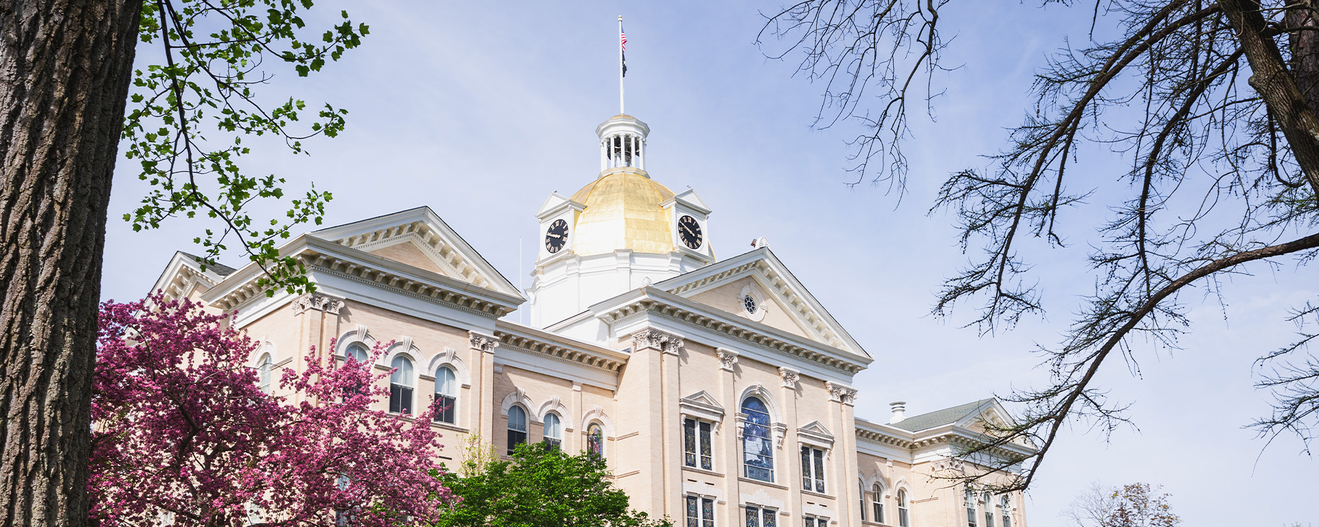 dso1920X768px_Hero_Programs_Equine_Master