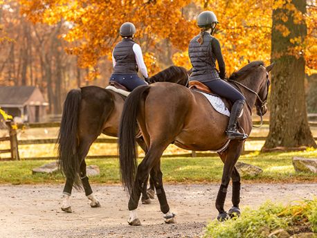 faequineMaster_Feature_List_Cards_560X420