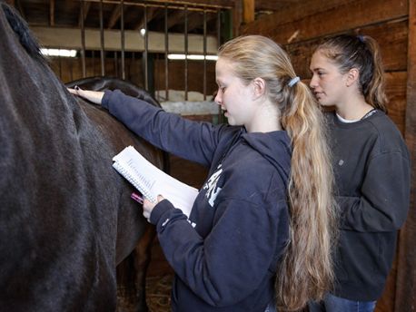 d2Master_Feature_List_Cards_560X420