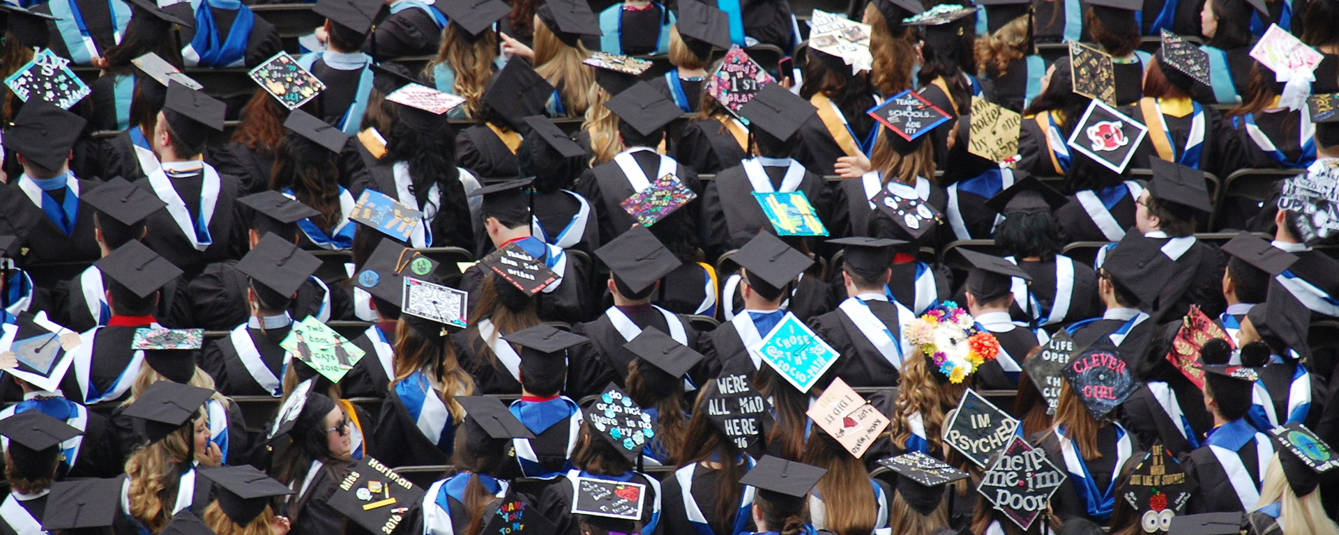 grad1920X768px_Hero_Programs_Equine_Master