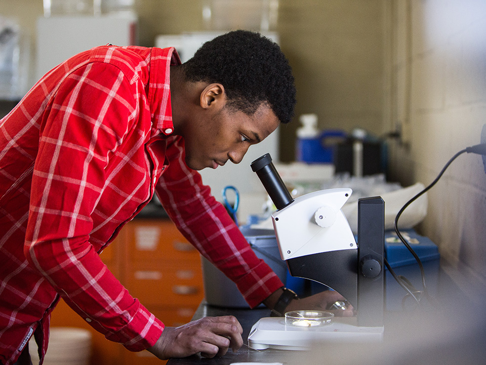 bioMaster_Split_Images_960X720px