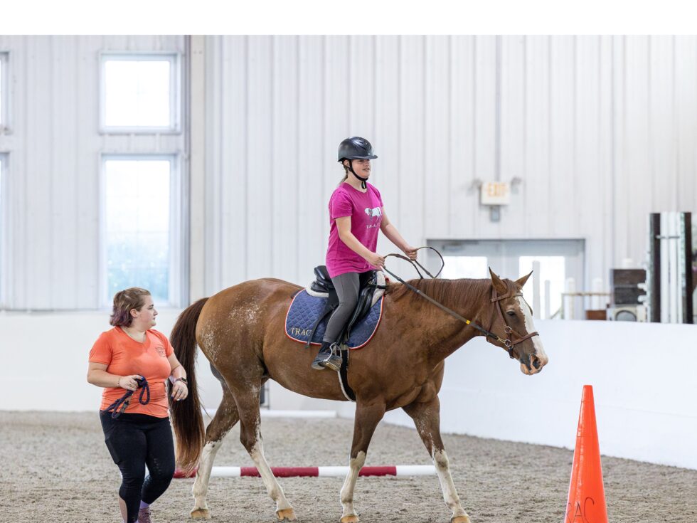 Training-horsemanship-980x735