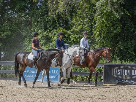 equineMaster_Feature_List_Cards_560X420
