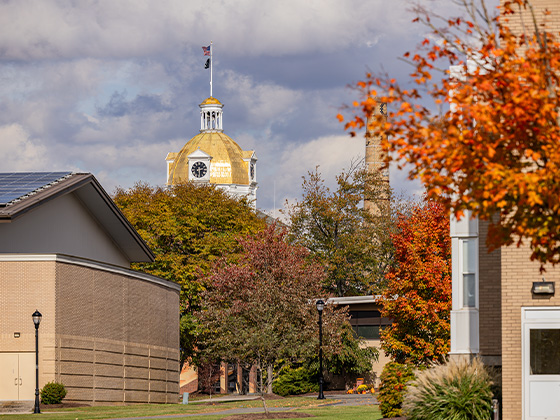 seayfallMaster_Feature_List_Cards_560X420